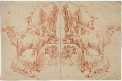 Four Sheep and a Cow