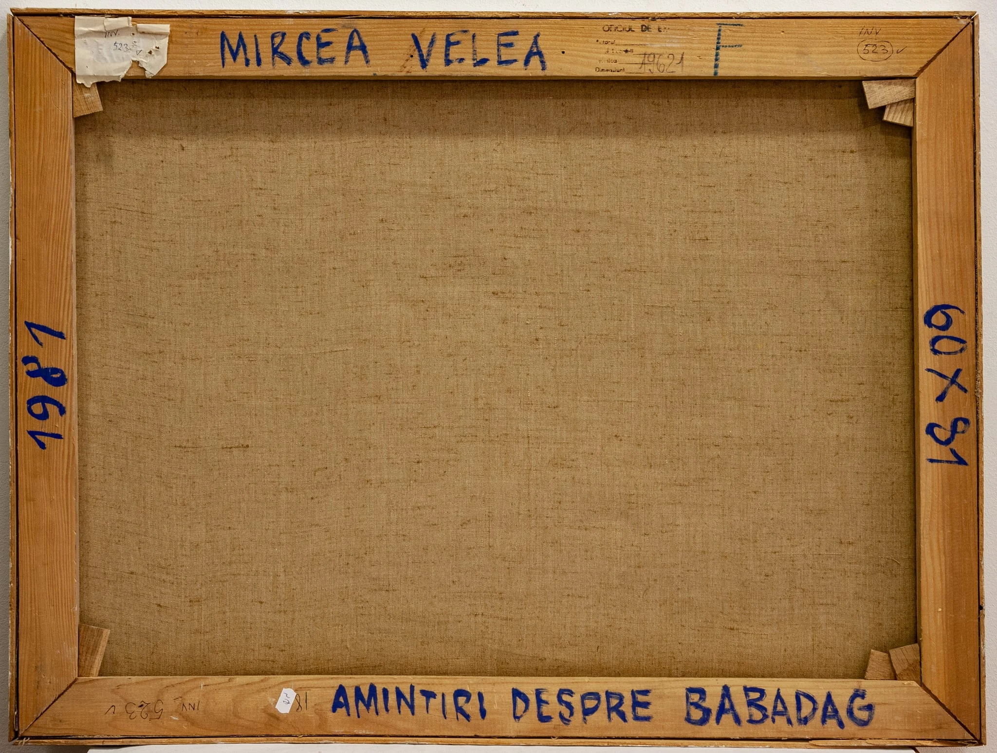 Amintiri despre Babadag, by Velea Mircea, unspecified