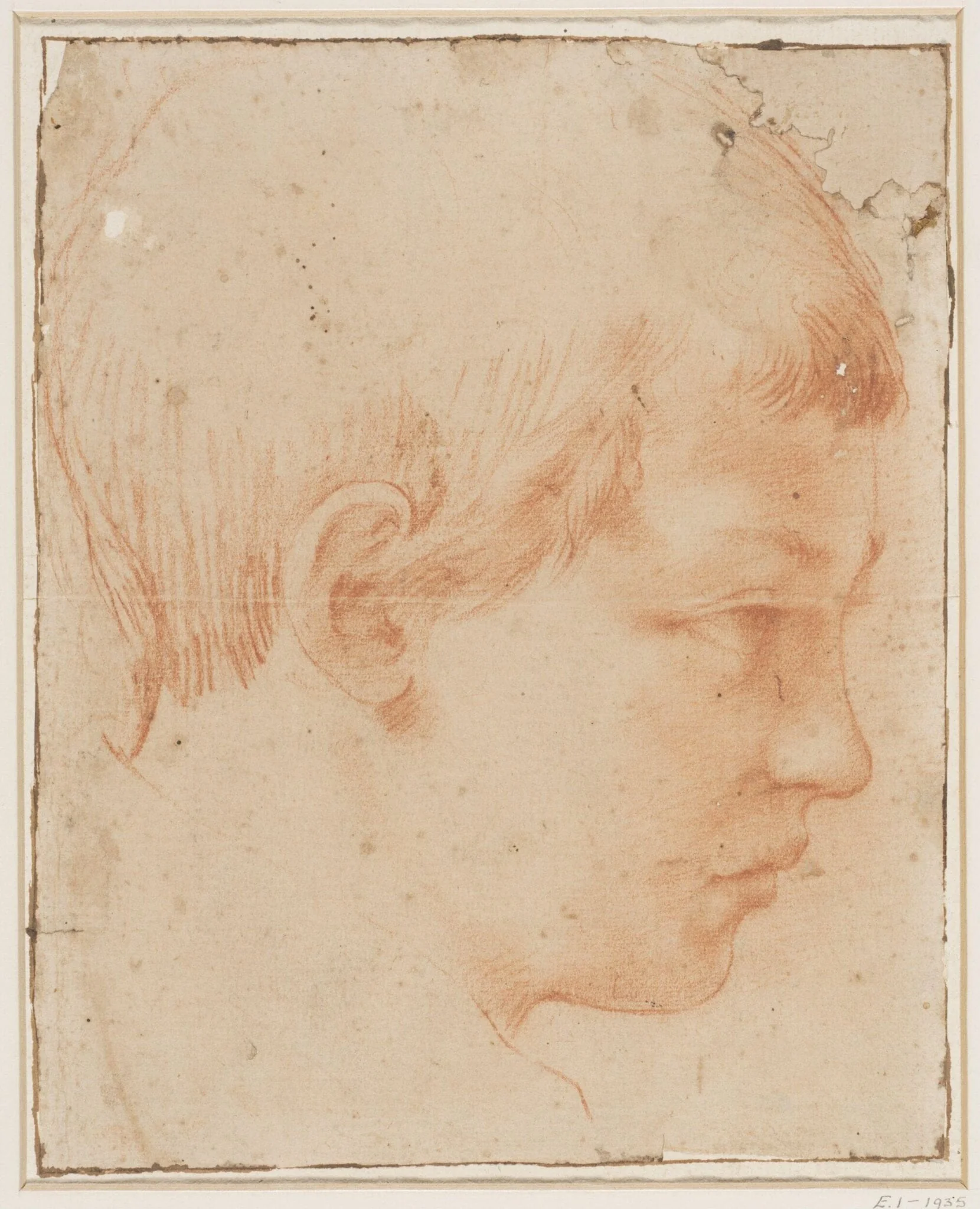 Head of a boy, by Unknown, 1550