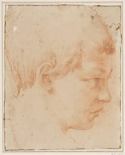 Head of a boy