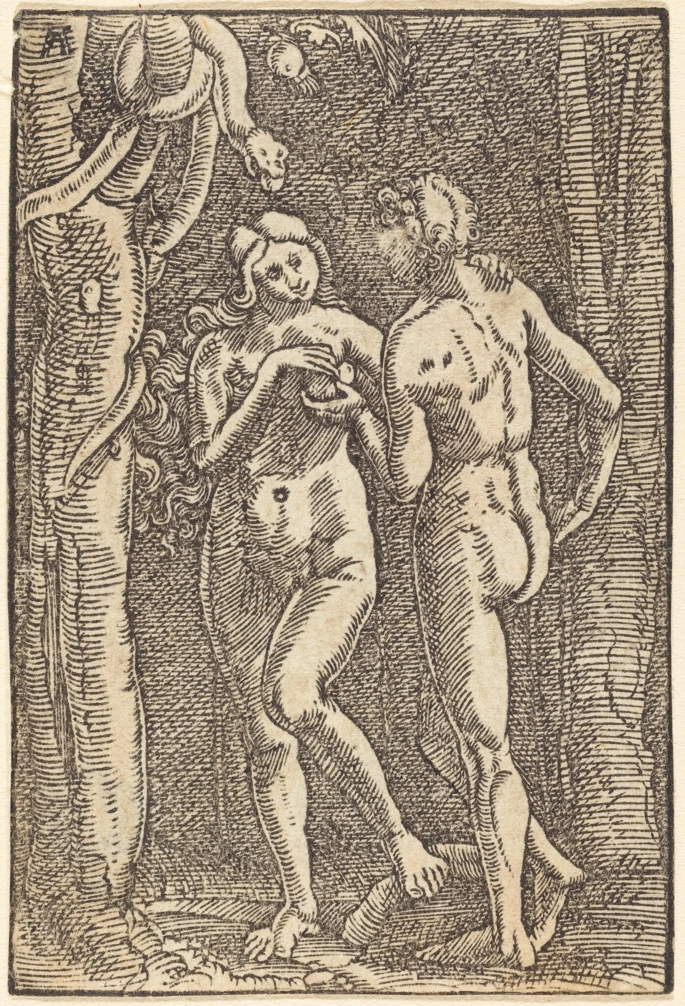 The Fall of Man, by Albrecht Altdorfer, ink, 1513