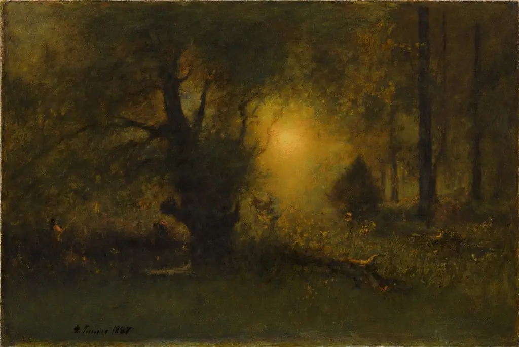 Sunrise in the Woods