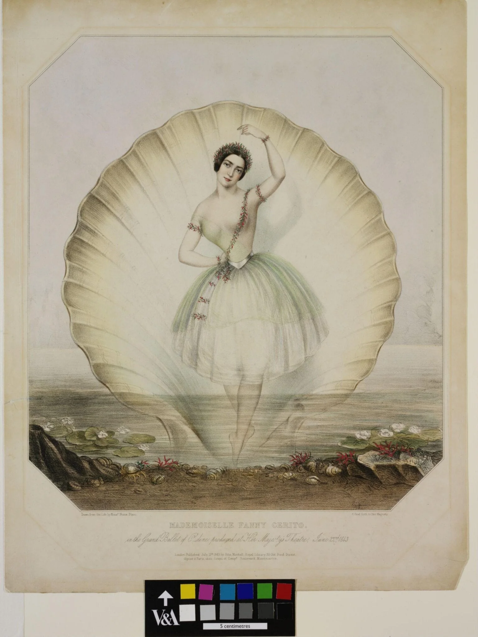 Mademoiselle Fanny Cerito