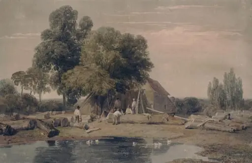 The Timber Yard