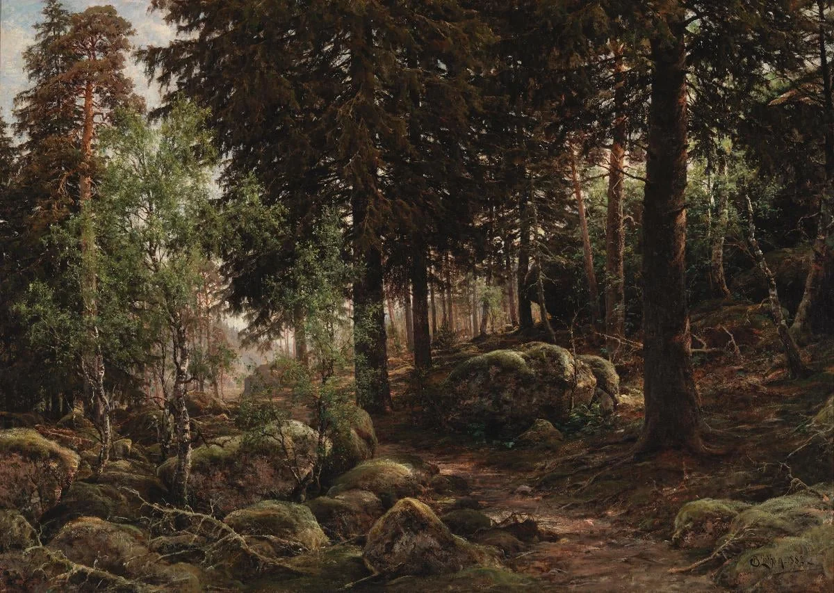 Metsänsisusta