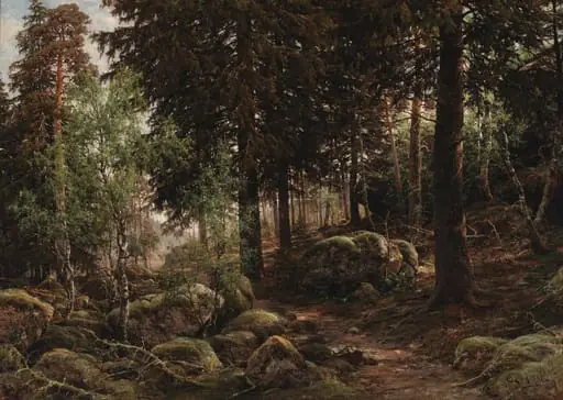 Metsänsisusta