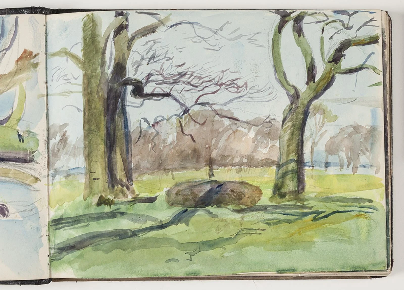 2 store træer; i baggrunden lund og hav, by Unknown, unspecified, 1908