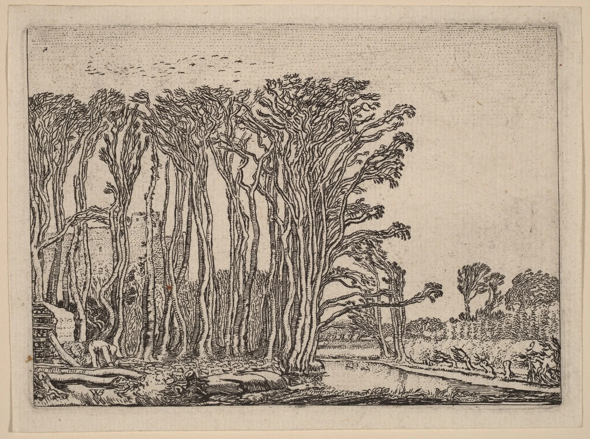 The Charcoal-Burner, by Willem Buytewech, ink, 1621