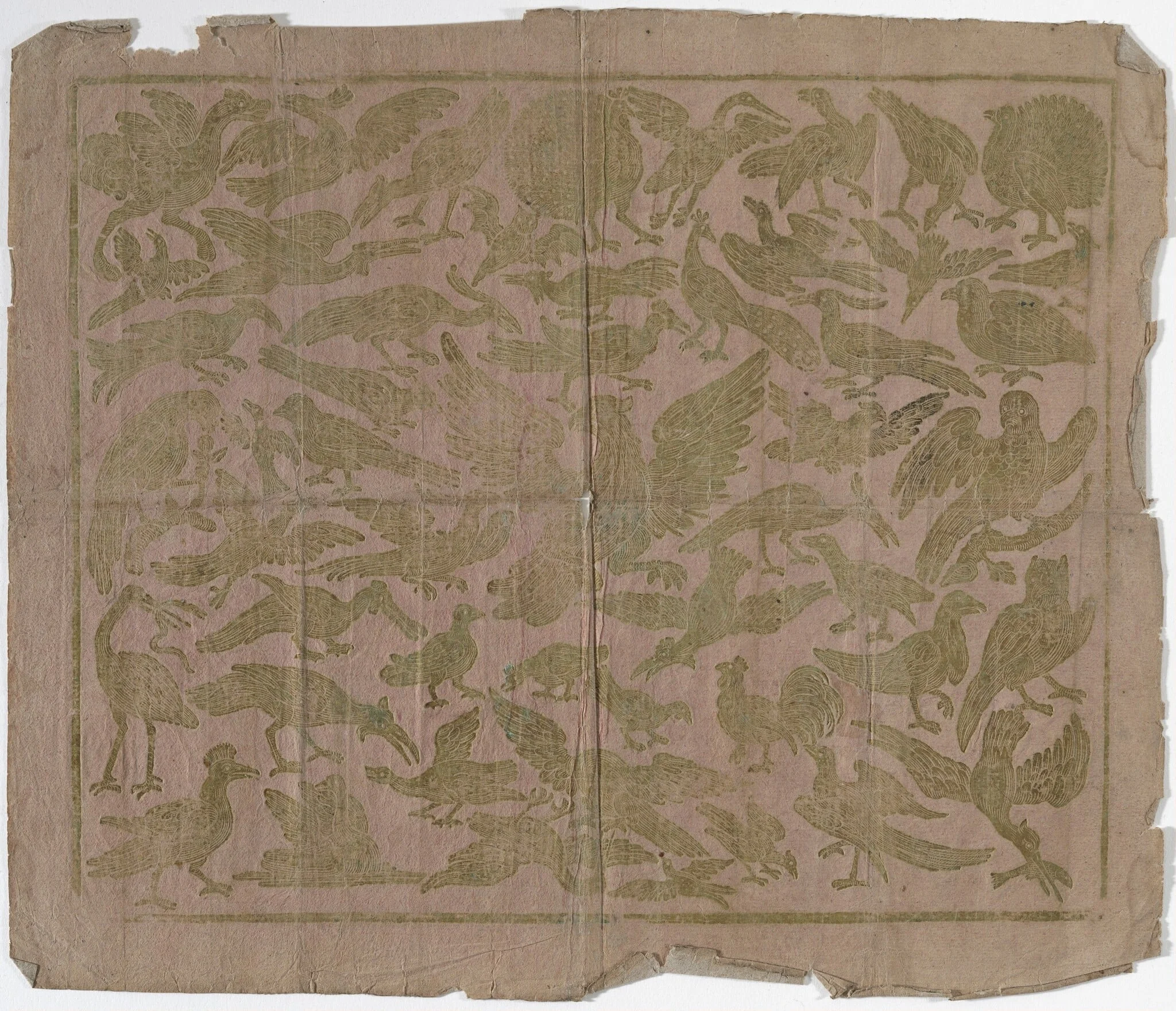 Endpaper with Birds