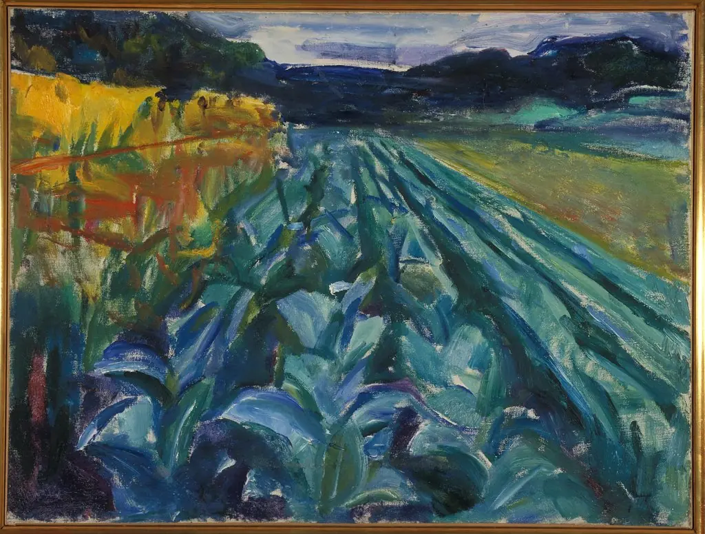 Cabbage Field