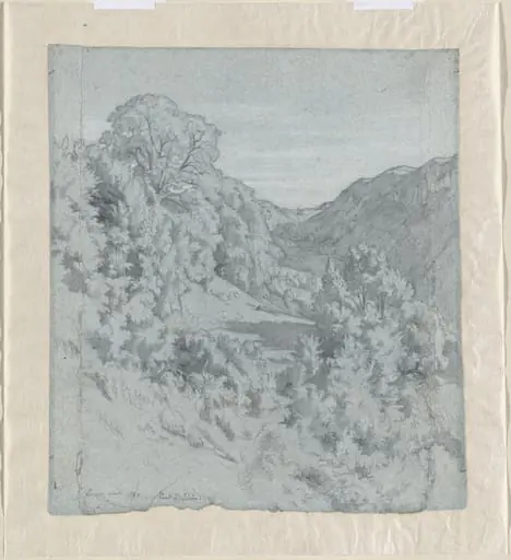 Sunlit Trees in a Valley near Lacoux