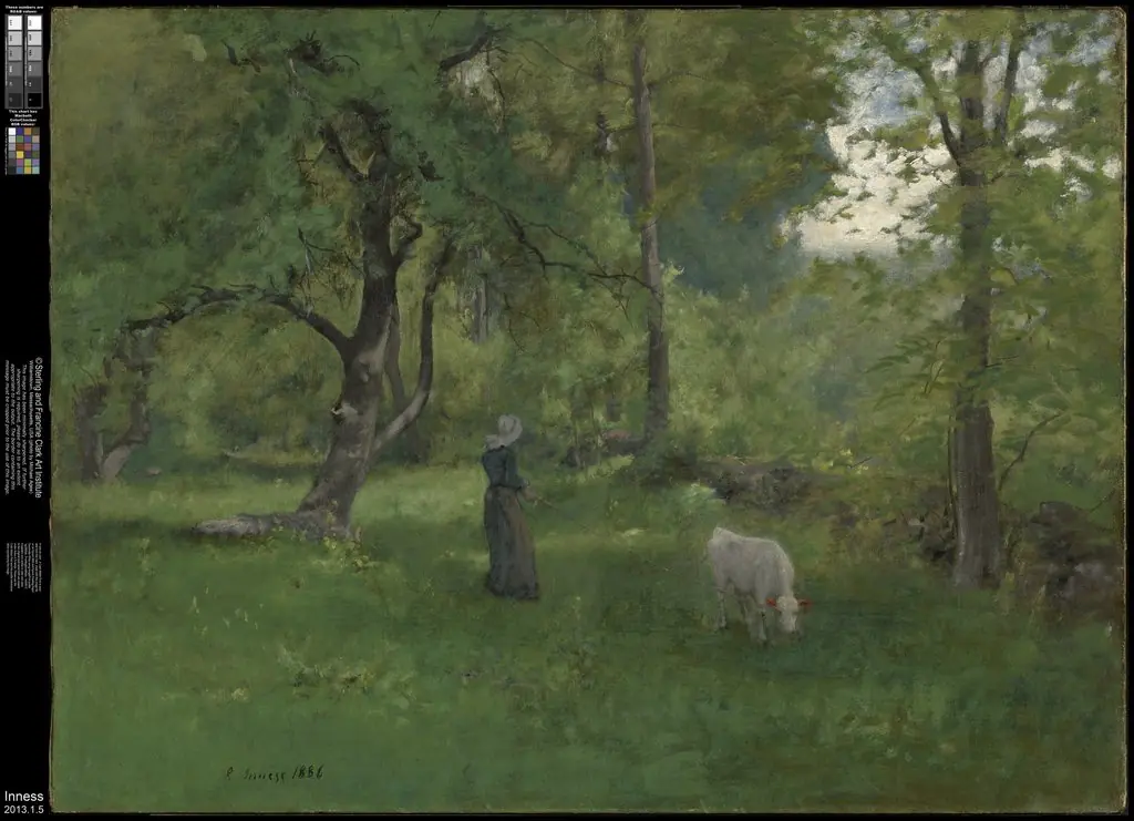 Green Landscape