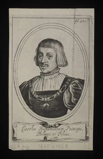 H Beard Print Collection