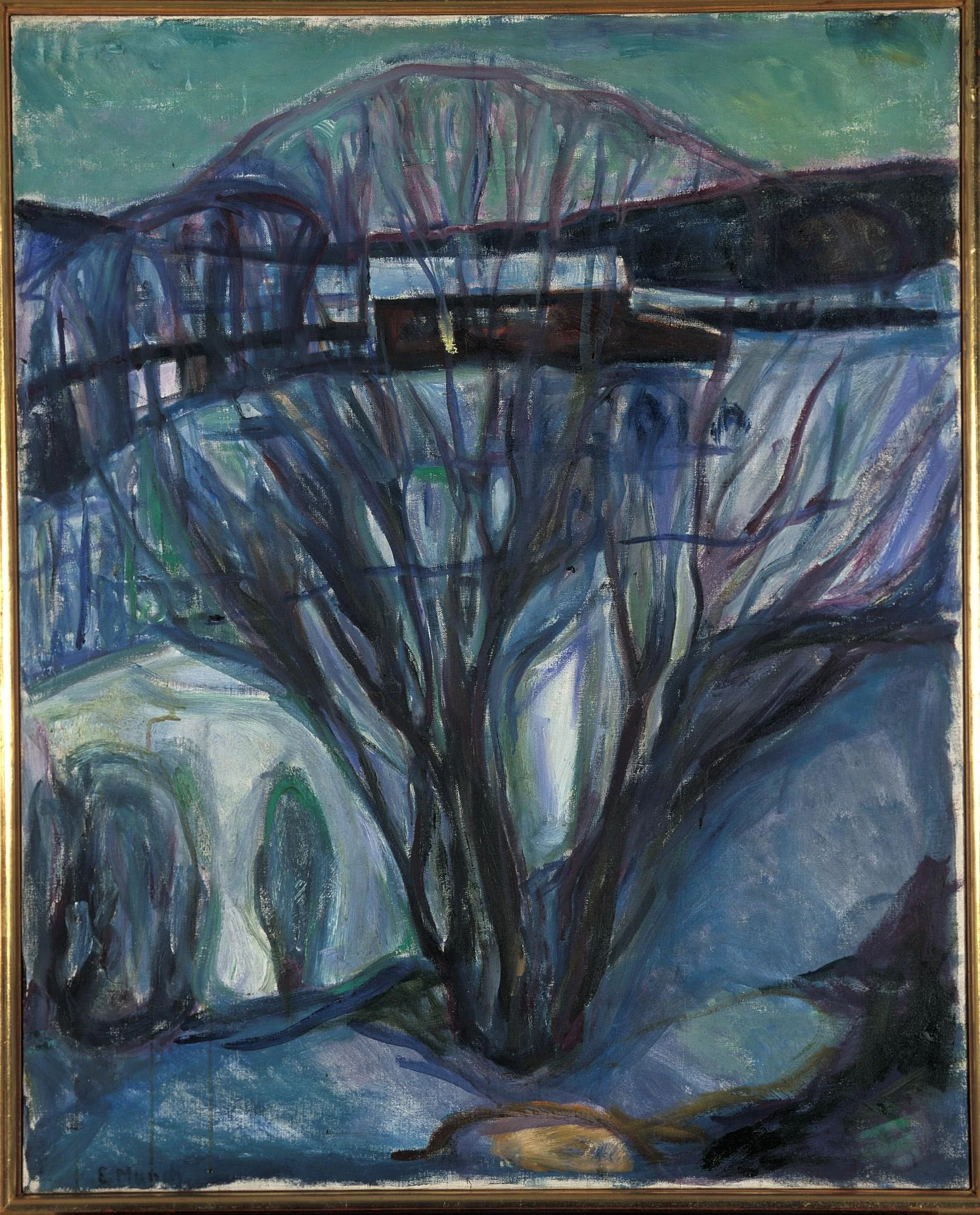 Winter Night