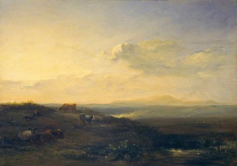 Solway Moss: Evening