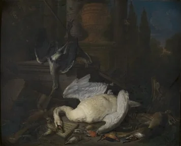 Still life with swan