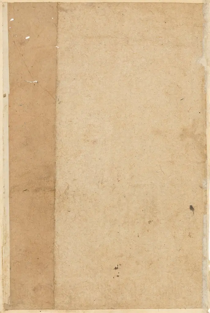 Page from Tales of a Parrot (Tuti-nama): blank page