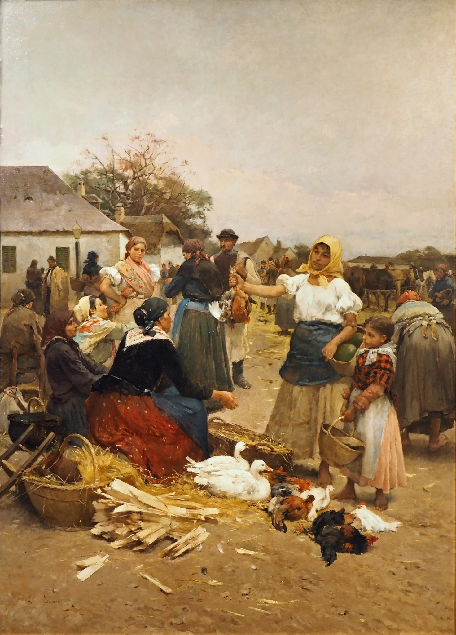 Poultry Market