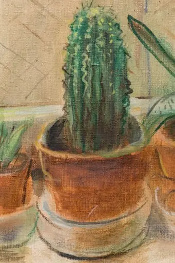 CACTUȘI
