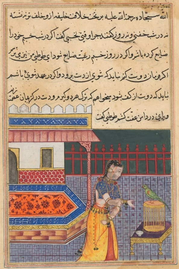 The parrot addresses Khujasta at the beginning of the forty-first night, from a Tuti-nama (Tales of a Parrot): Forty-first Night, by Unknown, unspecified, 1560