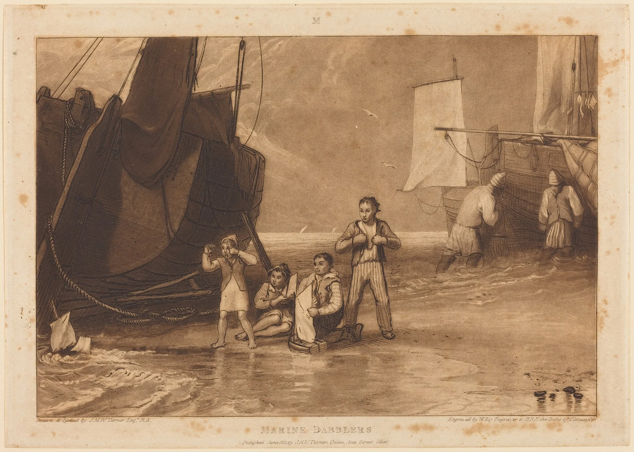 Marine Dabblers