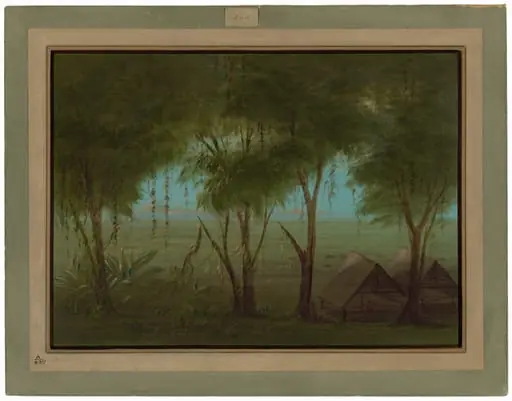 A Connibo Village