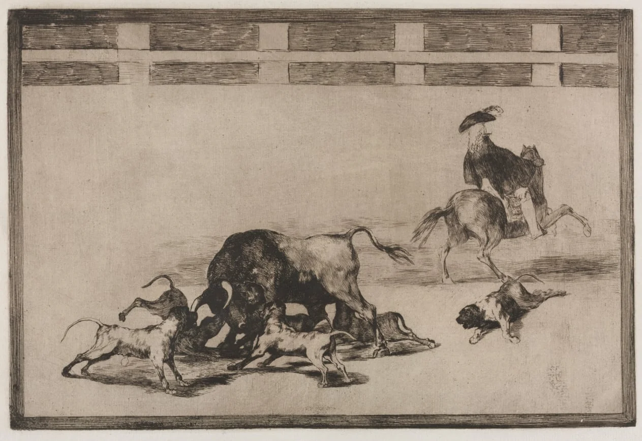 Bullfights:   They Loose Dogs on the Bull, by Francisco Goya, 1816