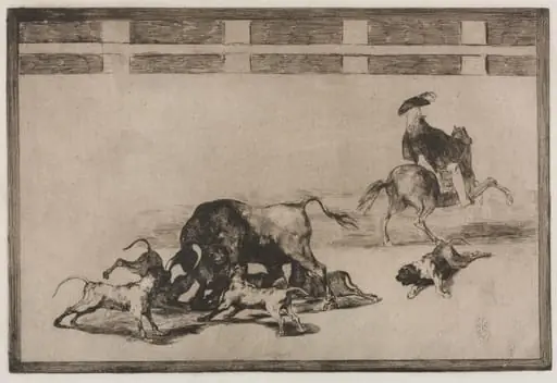 Bullfights:   They Loose Dogs on the Bull