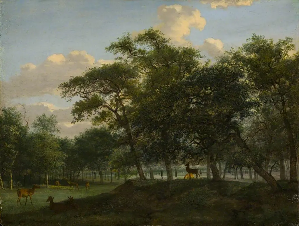 Wooded Park Landscape with Deer