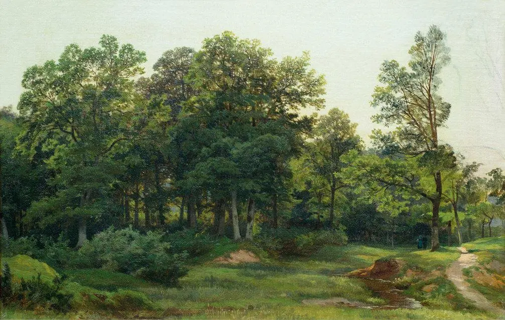 Deciduous forest