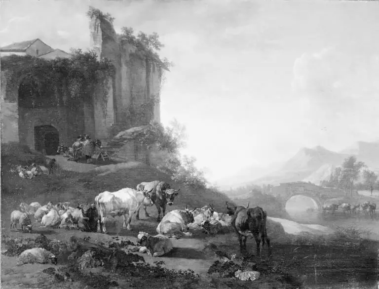 Cattle in a Southern Region