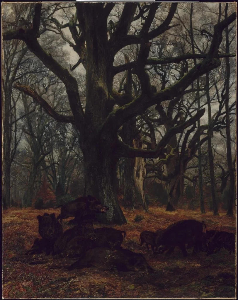 Oaks and Wild Boars