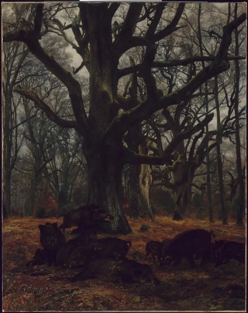 Oaks and Wild Boars