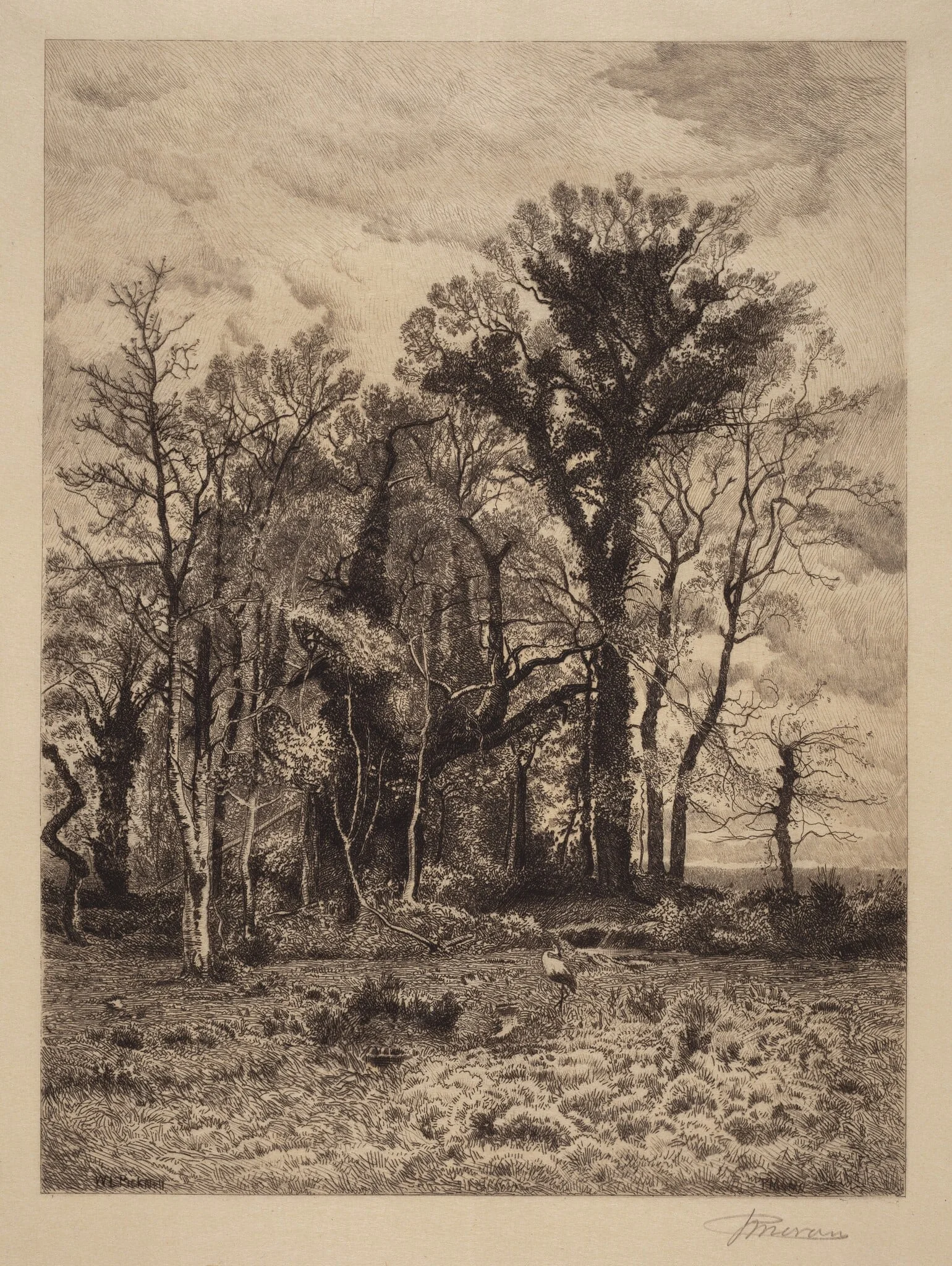 The Edge of the Swamp, by Peter Moran, ink, 1886