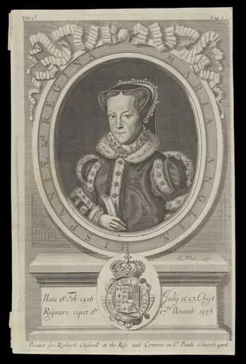 H Beard Print Collection