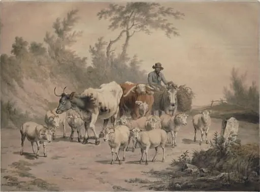 Cows and Sheep