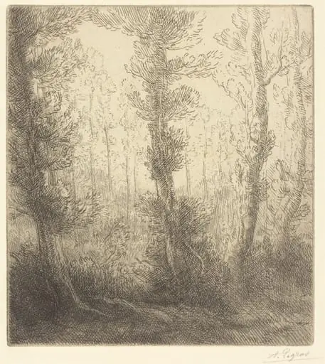 Small Lake (Le petit lac)