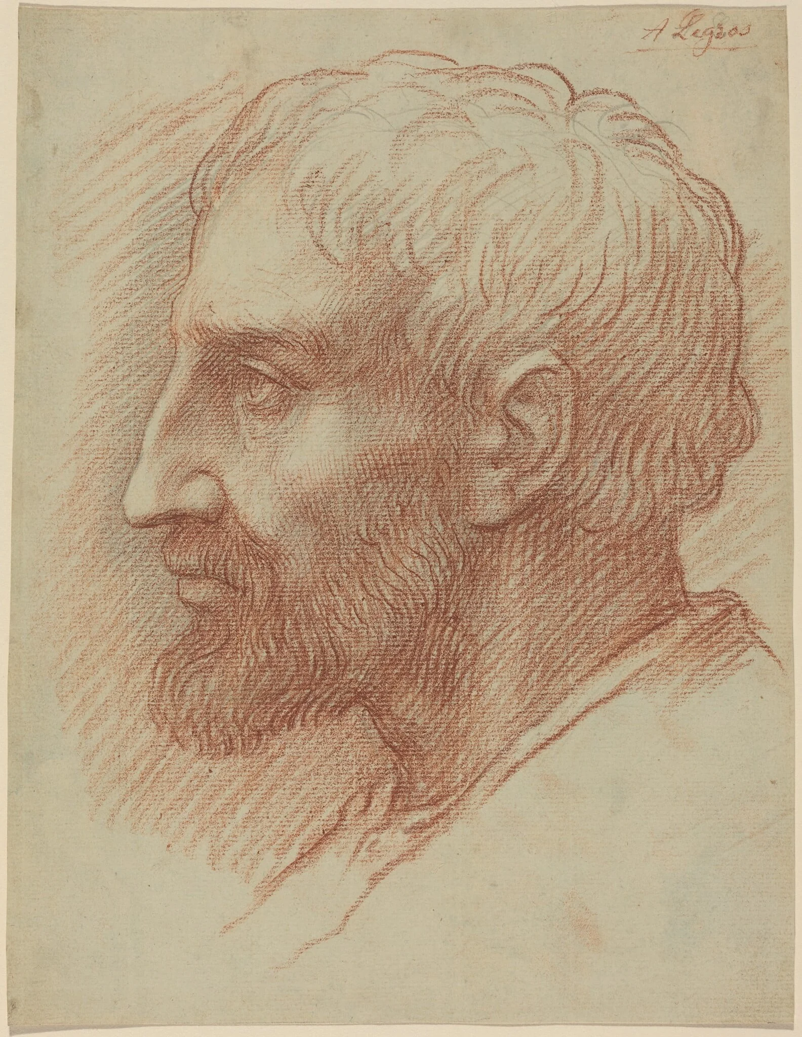 Head of a Man