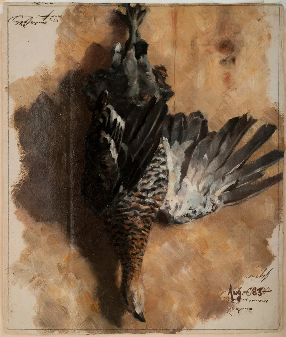 Död tjäder, by Akseli Gallen-Kallela, unspecified