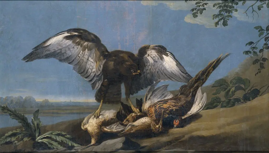 Kite with a Group of dead Birds