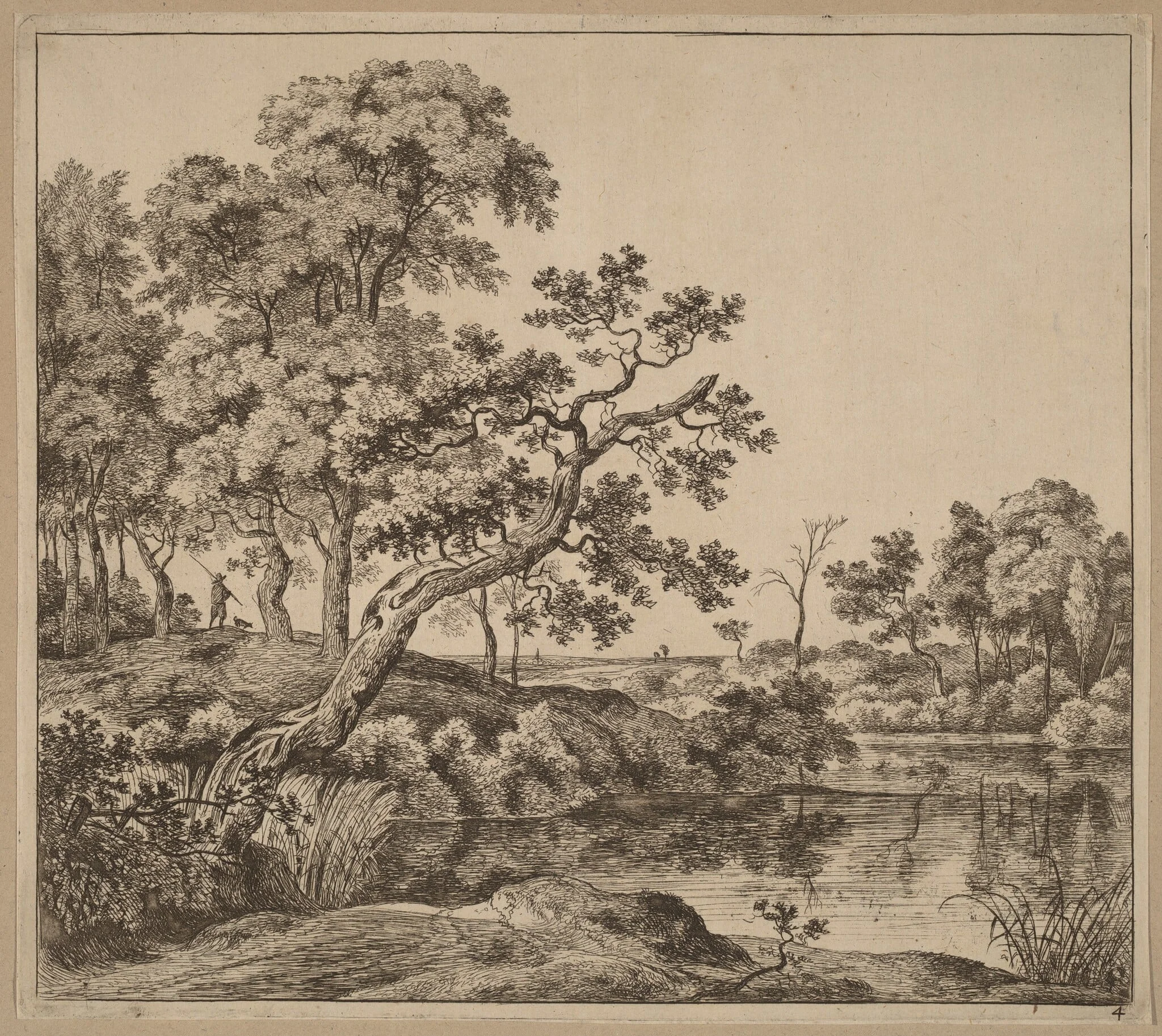 Landscape with a Bending Tree, by Jan Hackaert, ink, 1664