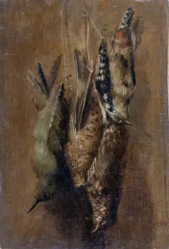 Vânat - becațe