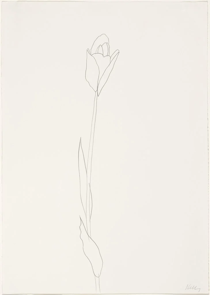 Untitled, by Ellsworth Kelly, graphite, 1980