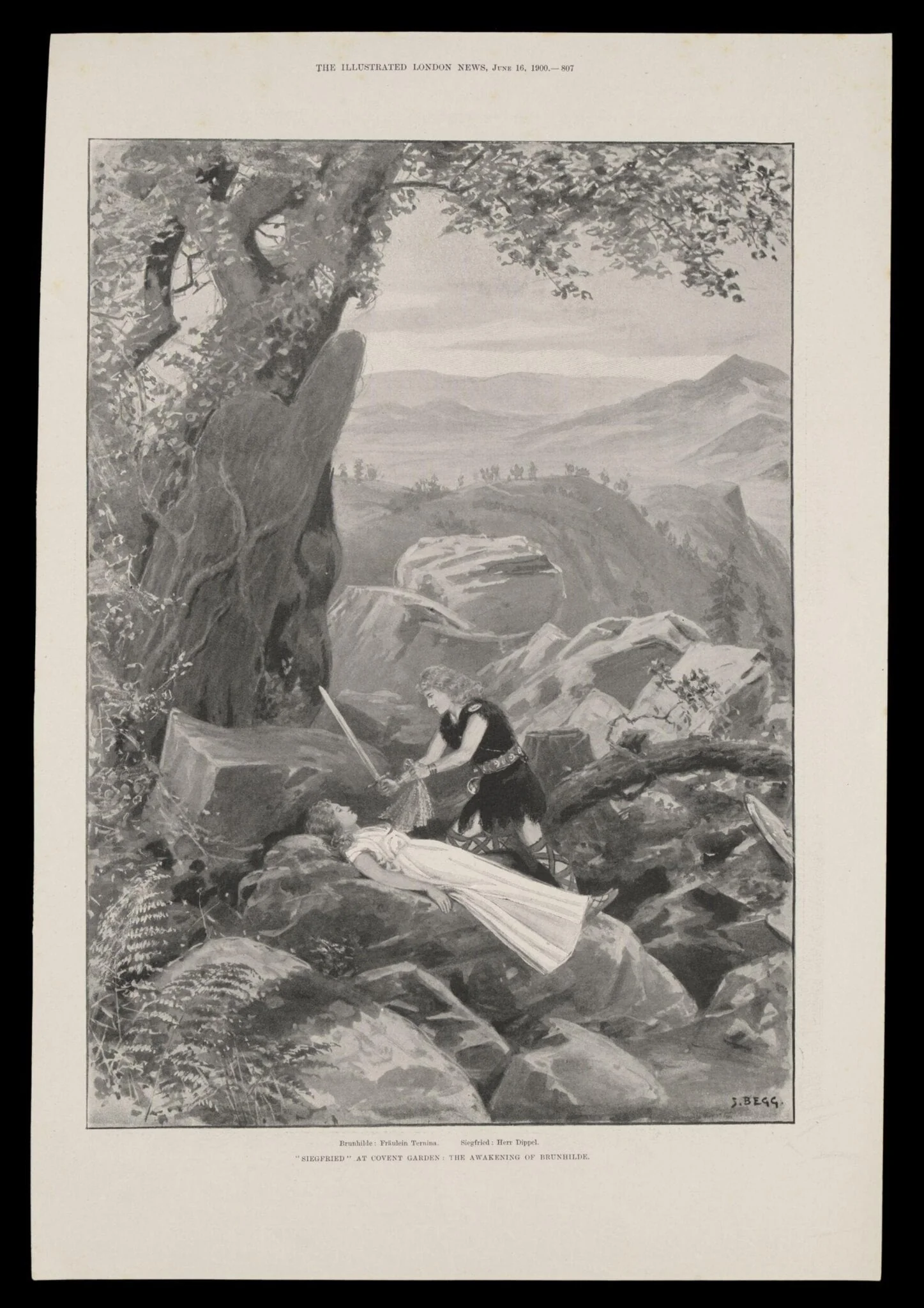 H Beard Print Collection