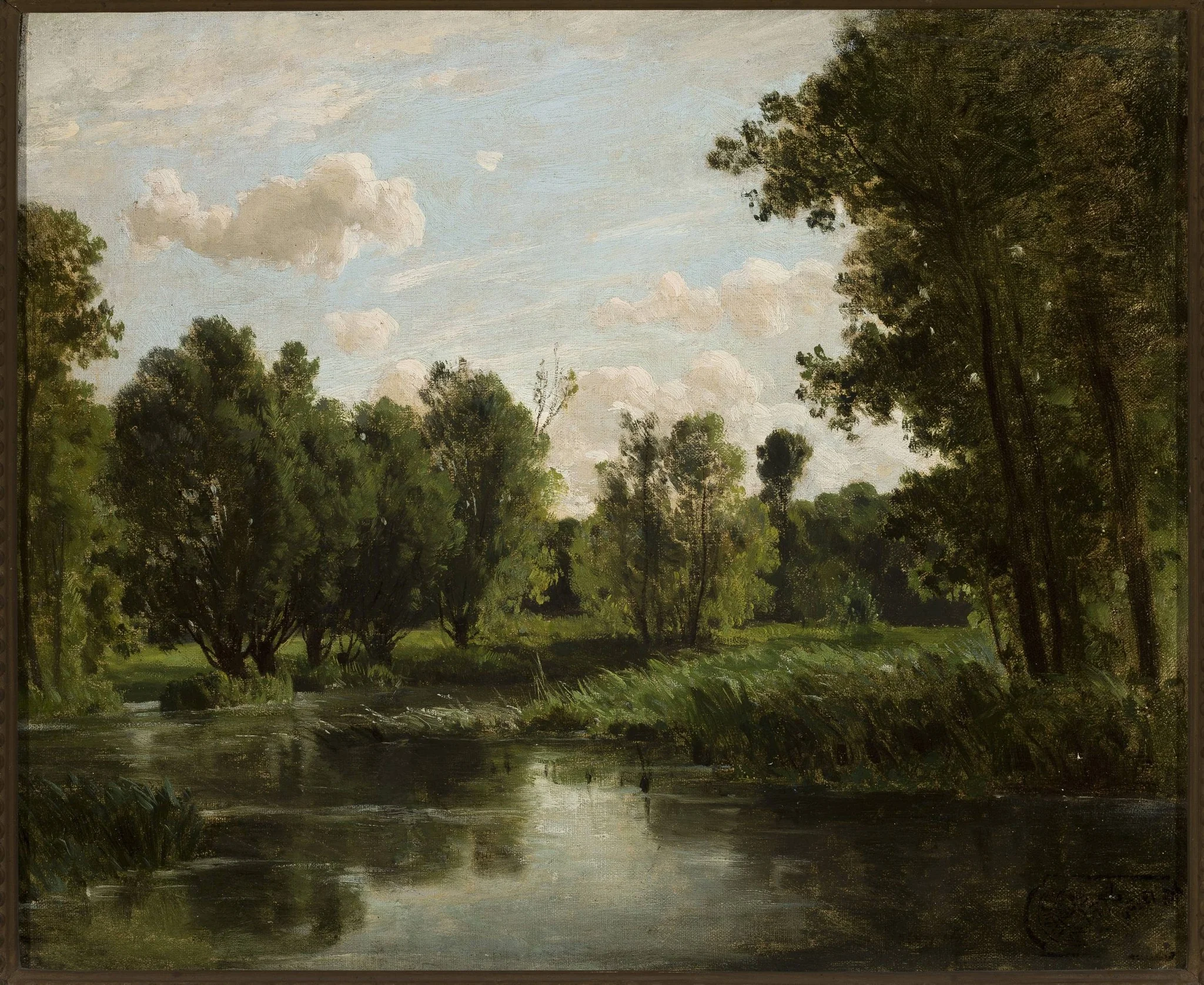 Lake in the forest