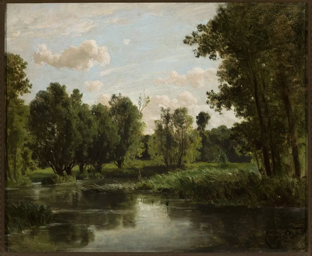 Lake in the forest