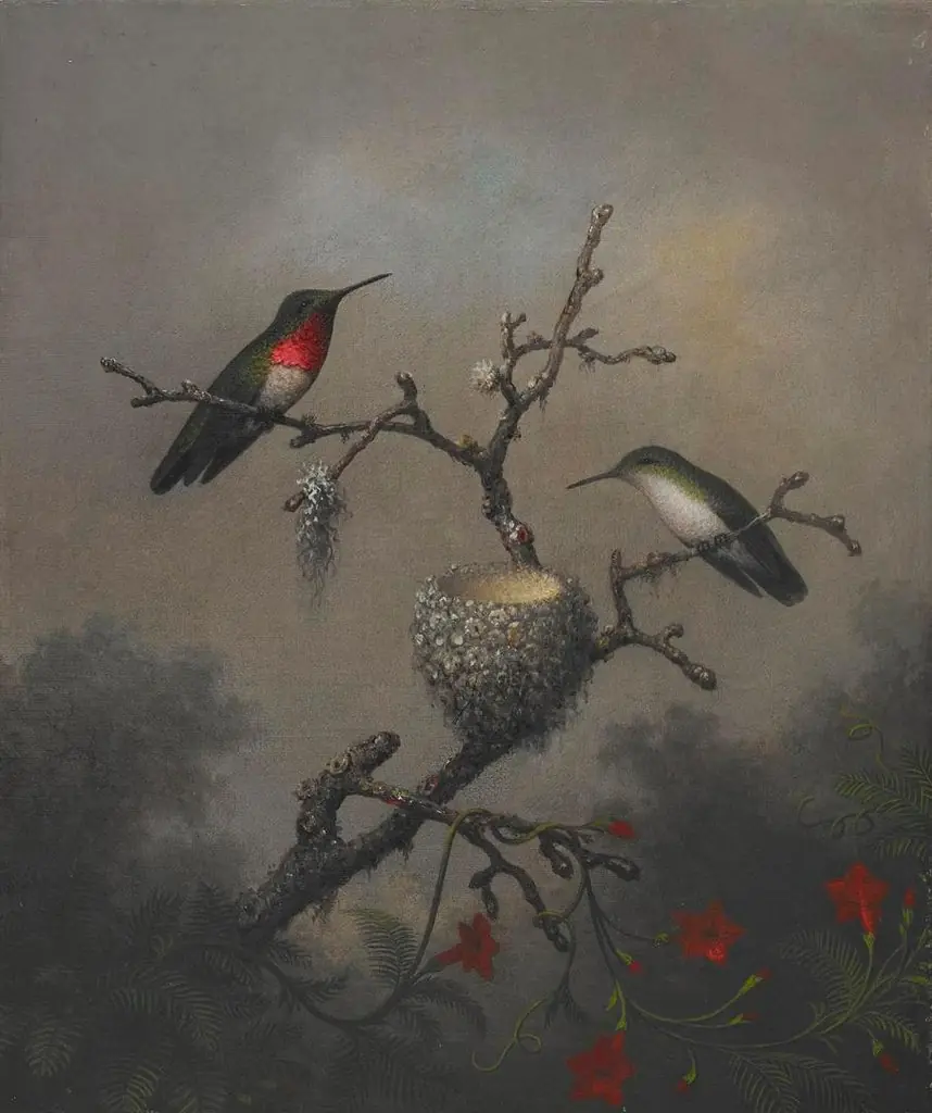 Ruby-throated Hummingbird
