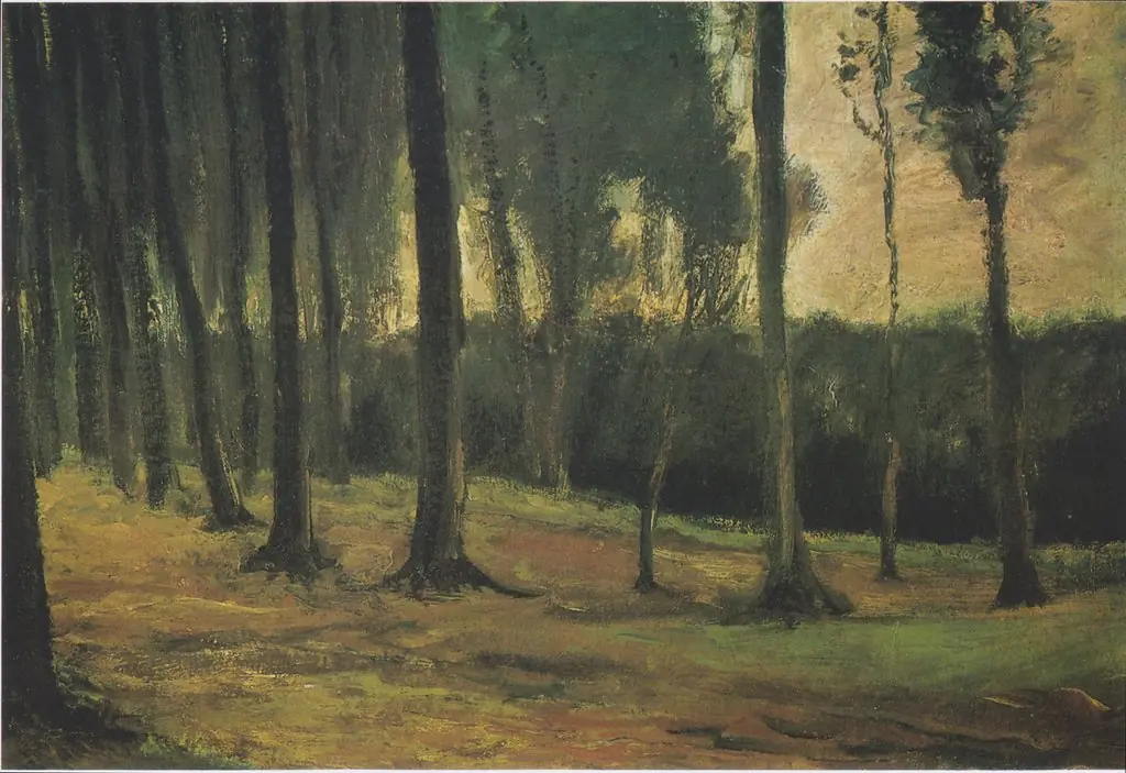 Edge of a Wood