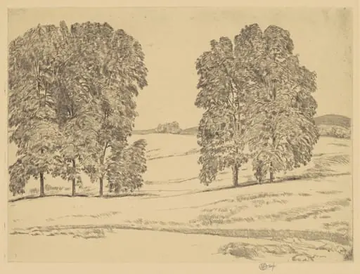 Hickories in a Hayfield