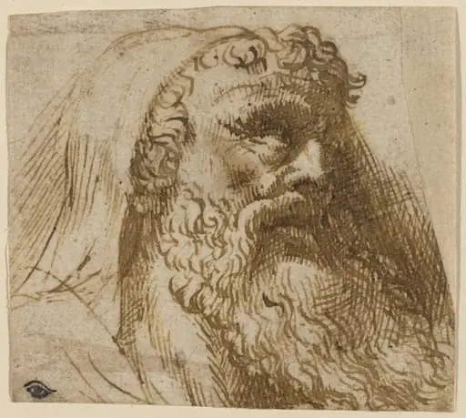 Head of a Man